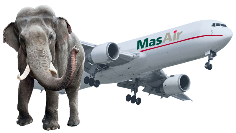 MasAir Cargo Airline